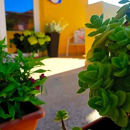 L' Arcobaleno Bed and Breakfast Pula